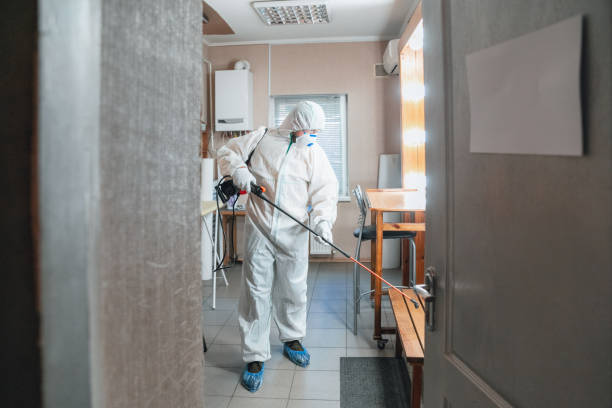 Best Dehumidification Services  in Chester Center, CT