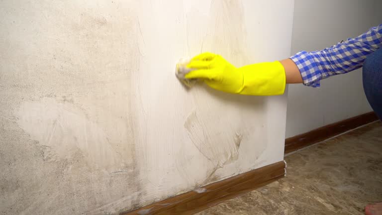 Best Air Quality Testing for Mold Spores  in Chester Center, CT
