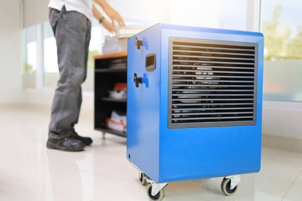 Best Indoor Air Quality Assessment  in Chester Center, CT