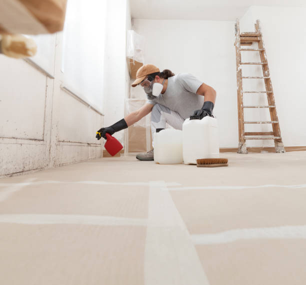 Trusted Chester Center, CT Mold Removal Experts